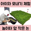 이웃사촌 작은도서관 | 아파트 앞 작은 논밭, 우리 아이의 첫 모내기 체험기