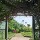 만평할인마트 | 용인 가볼만한곳 한택식물원 바람쐬기 좋은 곳