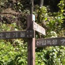 서대산주유소 이미지
