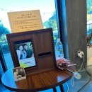 와현상회 | [20대의 끝자락] 부산, 거제 여행(1탄)_23.8월