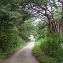 시온의 대로 이미지