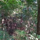 상정리마을회관 이미지