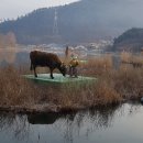 교동 10-19 이미지