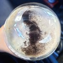 스타벅스 대전가수원DT점 이미지