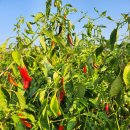 달천농장 이미지