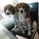 불광유치원 이미지