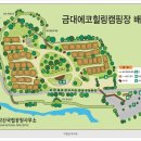 금대에코힐링캠핑장 이미지