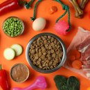 반려동물수제간식창업 이미지