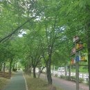 경기생활도자미술관 | 영월공원ㅡ여주남한강출렁다리ㅡ경기생활도자미술관ㅡ신륵사