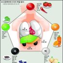 명리학,사주학,성명학, 개인 수강생 모집, 대한자평명리학협회, 창원,마산,진해,장유,양산,고성,진동,함안,진전,진북,의령,남지,산청,북면,창녕,밀양,언양,포항, 이미지