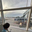 원앙약국 | 홍콩 여행 홍콩 쇼핑 리스트