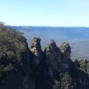 블루마운틴 이미지