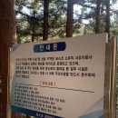 억불봉 | 광양 백운산 수련원 둘레길, 겨울 억불봉 등산 후기