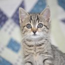 영어교실 이미지