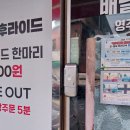 유동길 Daum카페