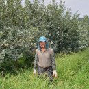 경상북도친환경액비유통센터영농조합법인 | 유기농 사과 1호 농부의 30년 사과 사랑