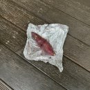 [서울 이색 찜질방] 신촌 숲속한방랜드 후기: 고구마 먹고 숯가마 지지고 삼겹살 먹고…
