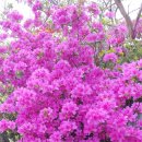 정각사입구 이미지