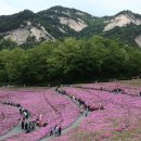 4월 29일(수) 불암산 철쭉 둘레길 나들이(뒤풀이 식당 변경) 이미지