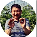 영배농장 네이버블로그