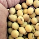 장용농장 이미지