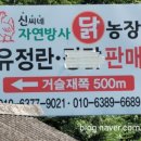 평창신씨네 자연방사 닭농장 이미지