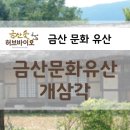 개삼각 이미지