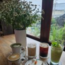 화창사 | 제주 월정리카페 오늘도화창 당근케이크 맛집