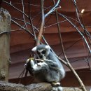 동산밧데리 이미지