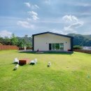 스테이위드독 이미지