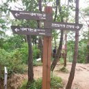 한반도면-8 이미지