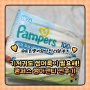 여름 기저귀 고민 끝! 팸퍼스 터치 오브 네이처 썸머팬티 솔직 후기