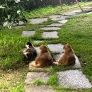 김가네Day