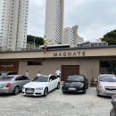 매그네이트 이미지