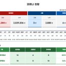 2023. 8. 5 부산시 코로나19 현황 이미지