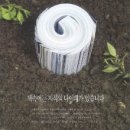 지식나이테