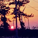 나무야제주민박 이미지