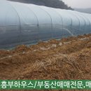 흥부축사 네이버블로그