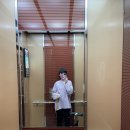 스콘 단단씨 네이버블로그