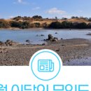 장도수산