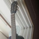 기타렐레(우쿨렐레) 이미지