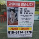 100세 한식뷔페