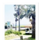 브라보카페