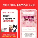 홈플러스_페이코