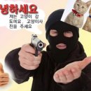 더메이헴 이미지