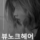 뷰노크헤어 네이버블로그