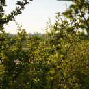 계양경기장-서운체육공원 이미지