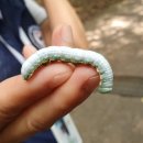 용인중앙공원 이미지