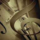 첼로 중급(성인) 이미지