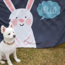 댕댕이 하우스 이미지